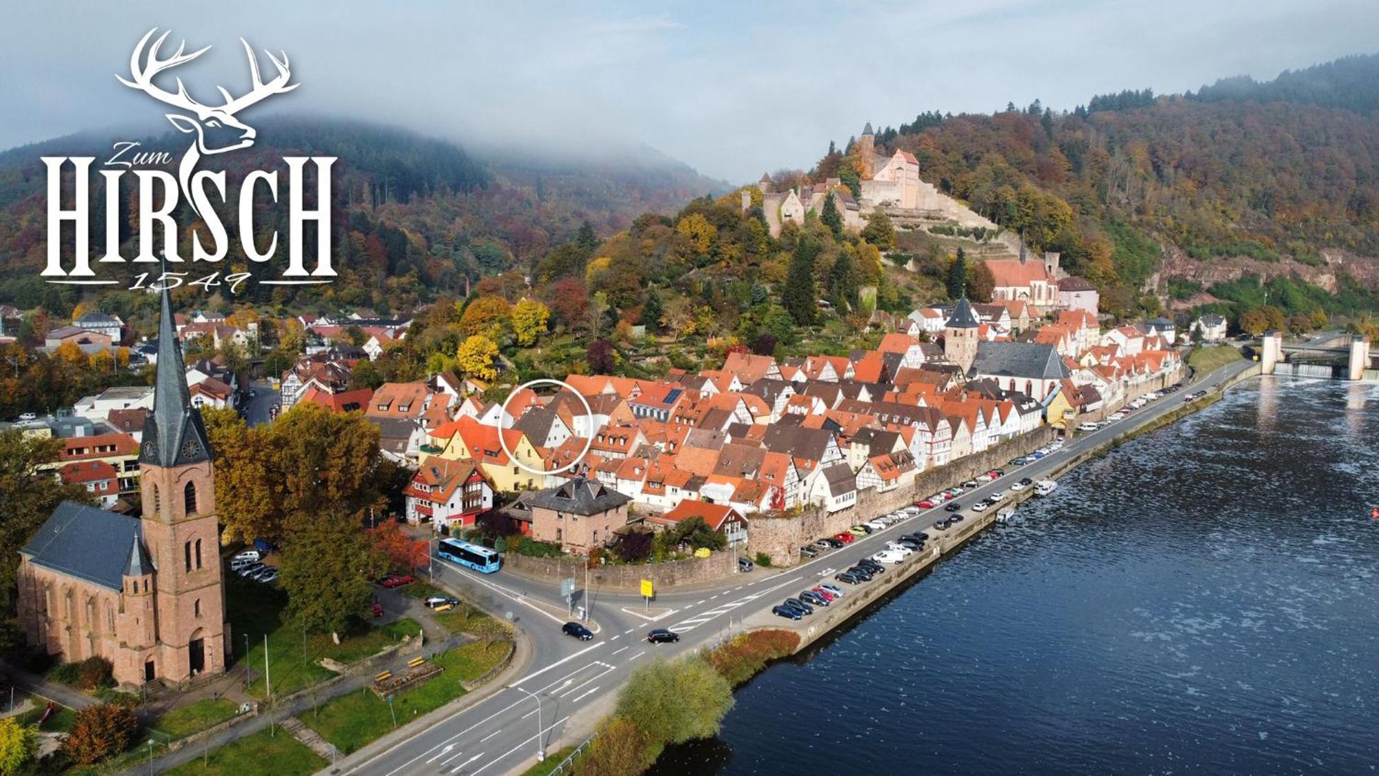 Appartement Schlossberg, Gasthaus Hirsch Hirschhorn Eksteriør billede